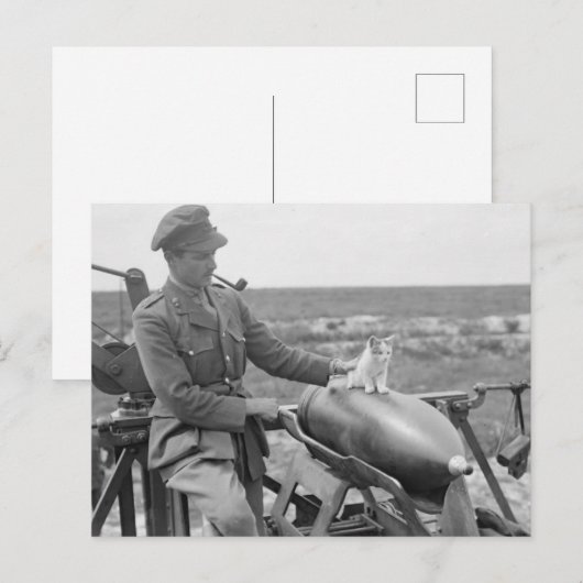 Ein Kätzchen im Krieg Postkarte (Vorne/Hinten)