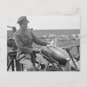 Ein Kätzchen im Krieg Postkarte