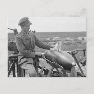 Ein Kätzchen im Krieg Postkarte