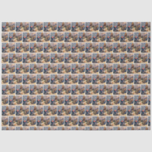 Ein Kätzchen Weihnachten Seidenpapier