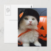 Ein Katzen-Halloween Postkarte (Vorne/Hinten)