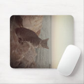Ein Katzenmodus Mousepad (Mit Mouse)