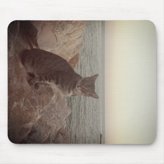 Ein Katzenmodus Mousepad (Vorne)