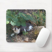 Ein Katzenversteck Mousepad (Mit Mouse)