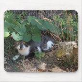 Ein Katzenversteck Mousepad (Vorne)