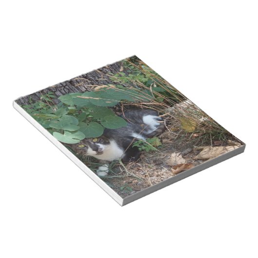 Ein Katzenversteck Notizblock (angewinkelt)