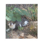 Ein Katzenversteck Notizblock (Vorderseite)