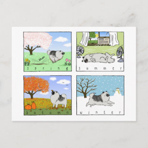 Ein Keeshond genießt die vier Jahreszeiten - Spaß  Postkarte