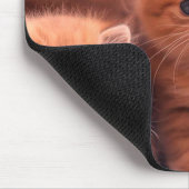 Ein Kindle süßer Kätzchen auf Laptop-Desktop-Table Mousepad (Ecke)