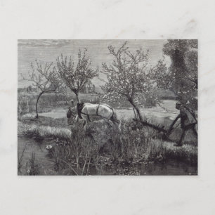 Ein kleiner Bauernhof, gut bestellt, Picardie Postkarte