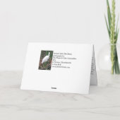 Ein kleiner blauer Heron Fischen Karte (Rückseite)