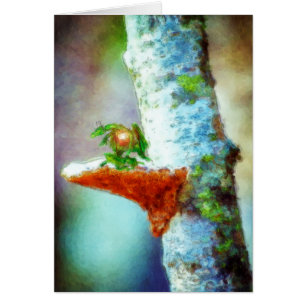 Ein kleiner Drache schläft