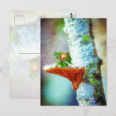Ein kleiner Drache schläft Postkarte (Vorne/Hinten)