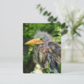 Ein kleiner grüner Held Postkarte (Stehend Vorderseite)