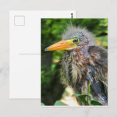 Ein kleiner grüner Held Postkarte (Vorne/Hinten)