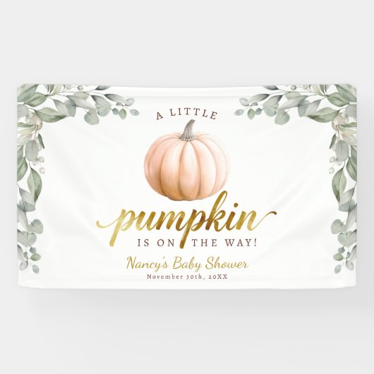 Ein Kleiner Kürbis Herbst Baby Shower Hintergrund Banner (Horizontal)