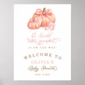 Ein kleiner Kürbis ist auf dem Weg zu einem rosafa Poster (Vorne)