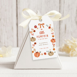 Ein kleiner Kürbis ist auf dem Weg zur Babydusche. Geschenkanhänger