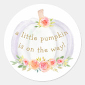 Ein kleiner Kürbis ist auf dem Weg zur Babydusche Runder Aufkleber (Vorderseite)