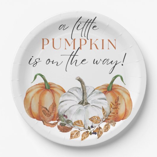 Ein kleiner Kürbis ist unterwegs - Baby Dusche Pappteller (Vorderseite)