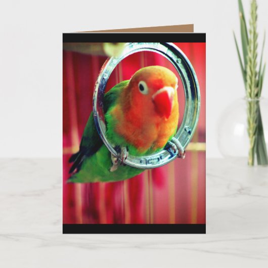 Ein kleiner Lovebird Karte (Vorderseite)