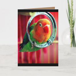 Ein kleiner Lovebird Karte