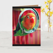 Ein kleiner Lovebird Karte (Gelbe Blume)