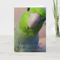 Ein kleiner Piepmatz sagte mir…