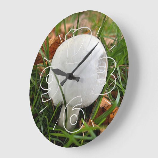 Ein kleiner Pilz Große Wanduhr (Winkel)