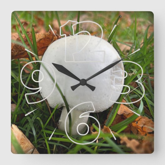 Ein kleiner Pilz Quadratische Wanduhr (Vorderseite)