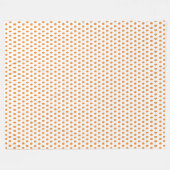 Ein kleiner Pumpkin Fleecedecke (Vorderseite (Horizontal))