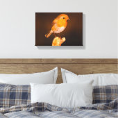 Ein kleiner Robin Bird auf Perch Leinwanddruck (Insitu (Schlafzimmer))