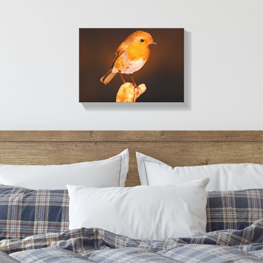 Ein kleiner Robin Bird auf Perch Leinwanddruck (Insitu (Schlafzimmer))
