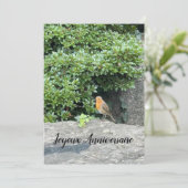 Ein kleiner Rotkehlchen (Stehend Vorderseite)