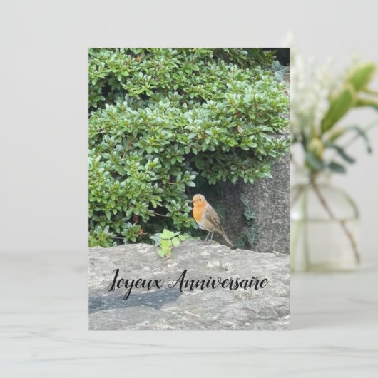 Ein kleiner Rotkehlchen (Stehend Vorderseite)