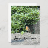 Ein kleiner Rotkehlchen (Vorne/Hinten)