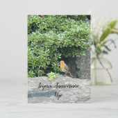 Ein kleiner Rotkehlchen (Stehend Vorderseite)