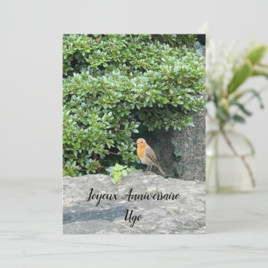 Ein kleiner Rotkehlchen (Stehend Vorderseite)