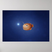 Ein kleiner Seeteufel Poster (Vorne)