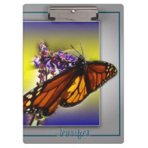 Ein kleiner süßer Schmetterling