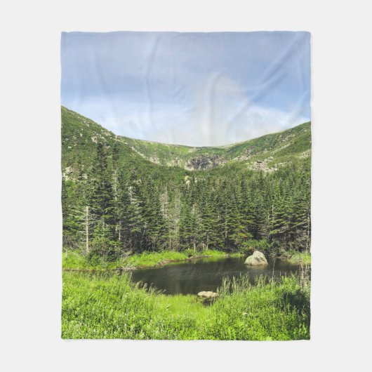 Ein kleiner Teich im Tal der Berge im Fleecedecke (Vorderseite)