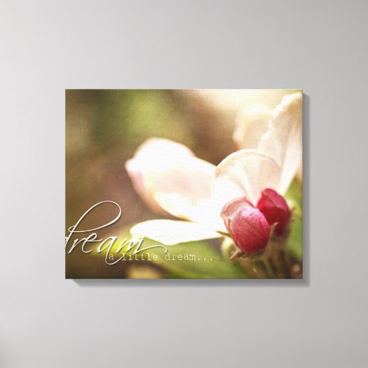 Ein kleiner Traum - Apple Blossom - Leinwand Art (Vorderseite)