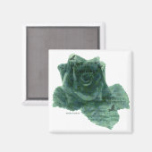 Ein kleiner Vogel erzählte mir Rose Magnet (Vorderseite/Rückseite)