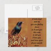 Ein kleiner Vogel erzählte mir Starling Bird-Foto Postkarte (Vorne/Hinten)