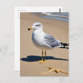 Ein kleiner, von Gramm umgebener, hübscher Strand Postkarte (Vorne/Hinten)