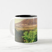 Ein kleiner Vulkan in mexikanischer Landschaft, Zweifarbige Tasse (Vorderseite Links)