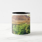 Ein kleiner Vulkan in mexikanischer Landschaft, Zweifarbige Tasse (Mittel)