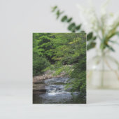 Ein kleiner Wasserfall Postkarte (Stehend Vorderseite)