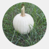 Ein kleiner weißer Kürbis Runder Aufkleber (Vorderseite)
