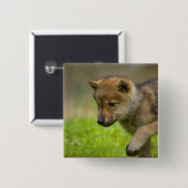 Ein kleiner Wolf Button (Vorne & Hinten)